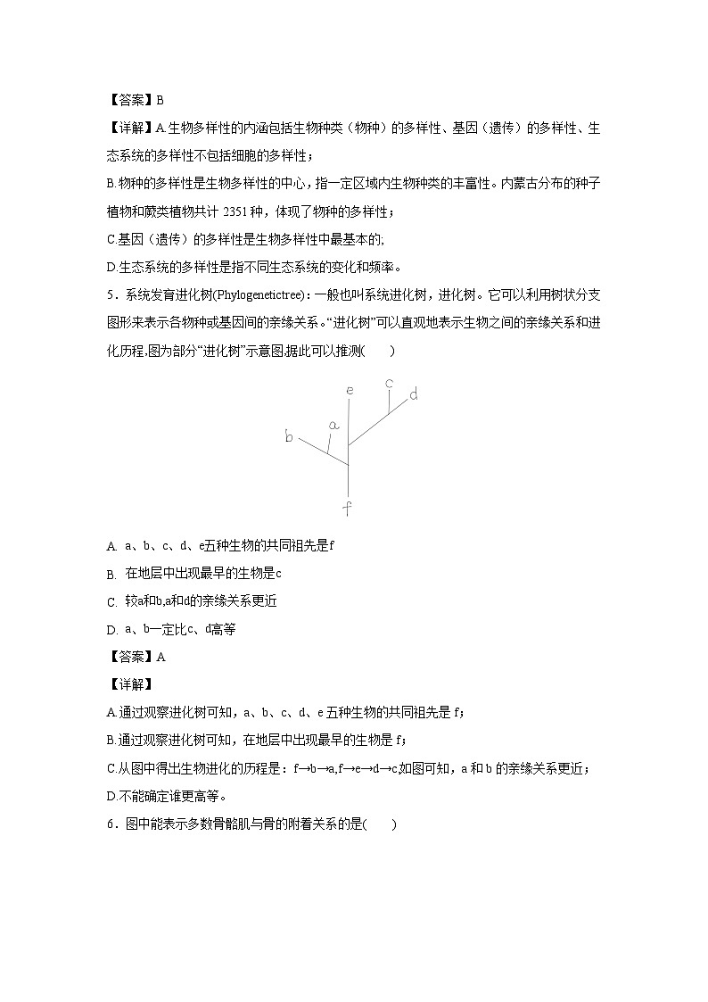 八年级(上)期末模拟卷(内蒙古专用)生物试卷(解析版)第3页