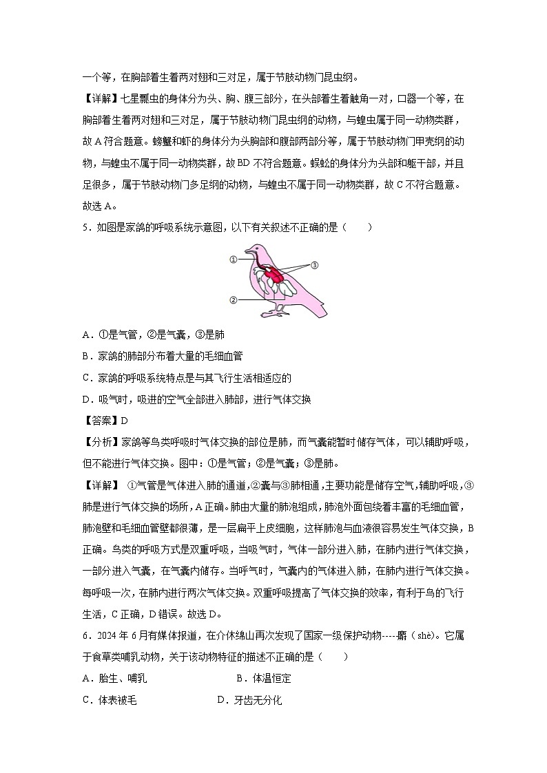 八年级(上)期末模拟卷(吉林专用)生物试卷(解析版)第3页