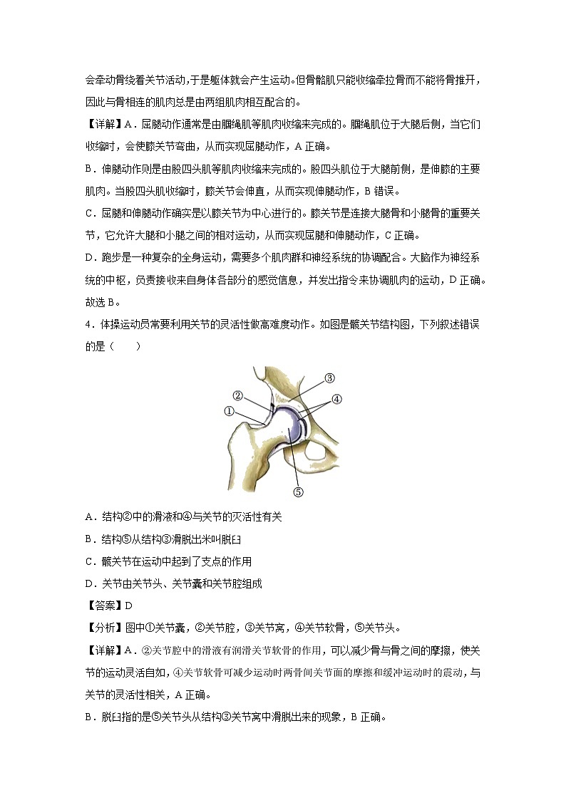 八年级(上)期末模拟卷(河北专用)生物试卷(解析版)第3页