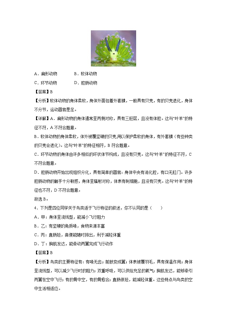 八年级(上)期末模拟卷(江苏通用，苏教版)生物试卷(解析版)第3页