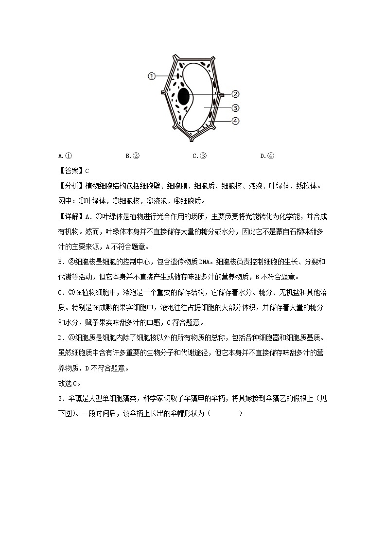 江西省七年级(上)期末模拟卷生物试卷(解析版)第2页