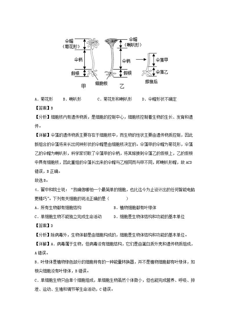 江西省七年级(上)期末模拟卷生物试卷(解析版)第3页