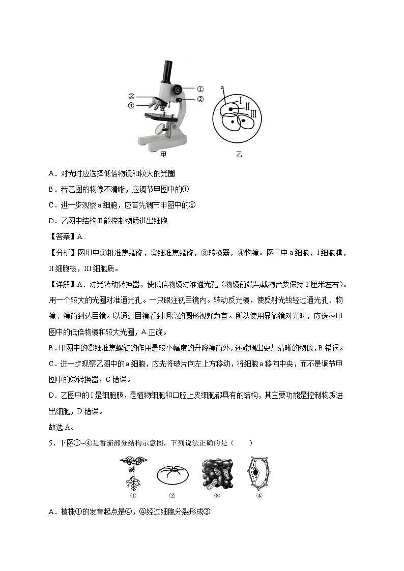 四川省成都市七年级(上)期末模拟卷生物试卷(解析版)第3页