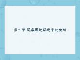 初中  生物  人教版（2024）  七年级上册第一节 观察周边环境中的生物 课件