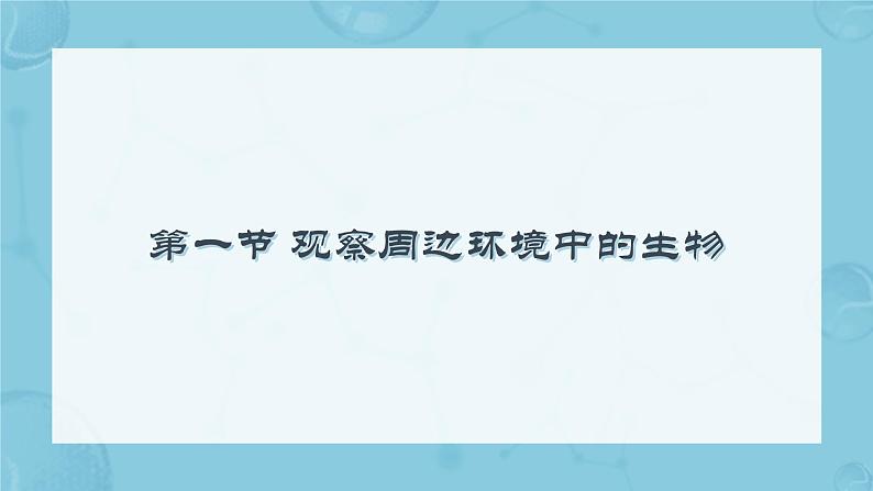 初中  生物  人教版（2024）  七年级上册第一节 观察周边环境中的生物 课件第3页