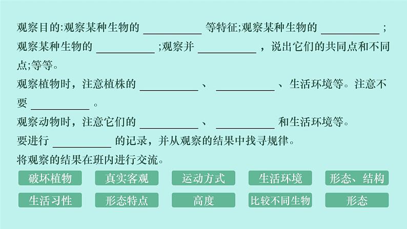 初中  生物  人教版（2024）  七年级上册第一节 观察周边环境中的生物 课件第8页