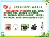 初中  生物  人教版（2024）  七年级上册第一节 观察周边环境中的生物 课件
