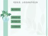 初中  生物  人教版（2024）  七年级上册第一节 观察周边环境中的生物 课件