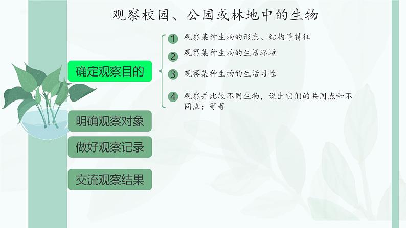 初中  生物  人教版（2024）  七年级上册第一节 观察周边环境中的生物 课件第4页