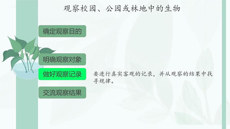 初中  生物  人教版（2024）  七年级上册第一节 观察周边环境中的生物 课件第6页