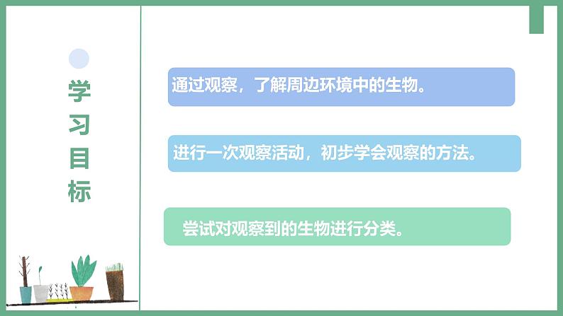 初中  生物  人教版（2024）  七年级上册第一节 观察周边环境中的生物 课件第3页