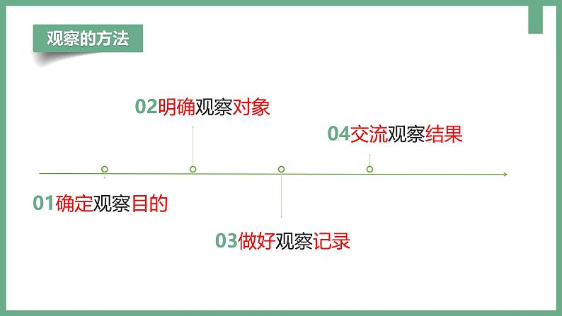 初中  生物  人教版（2024）  七年级上册第一节 观察周边环境中的生物 课件第8页