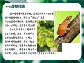 初中  生物  人教版（2024）  七年级上册第一节 观察周边环境中的生物 课件