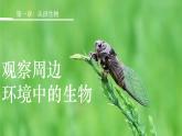 初中  生物  人教版（2024）  七年级上册第一节 观察周边环境中的生物 课件