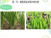 初中  生物  人教版（2024）  七年级上册第一节 观察周边环境中的生物 课件