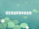 初中  生物  人教版（2024）  七年级上册第一节 观察周边环境中的生物 课件