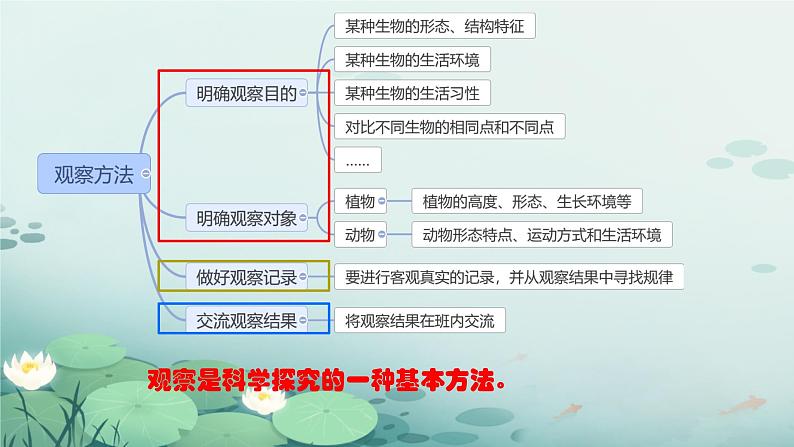 初中  生物  人教版（2024）  七年级上册第一节 观察周边环境中的生物 课件第5页