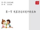 初中  生物  人教版（2024）  七年级上册第一节 观察周边环境中的生物 课件
