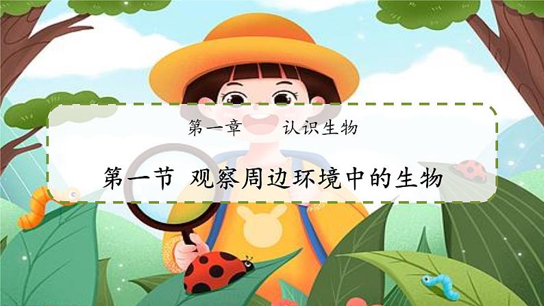 初中  生物  人教版（2024）  七年级上册第一节 观察周边环境中的生物 课件第1页