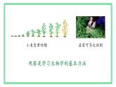 初中  生物  人教版（2024）  七年级上册第一节 观察周边环境中的生物 课件
