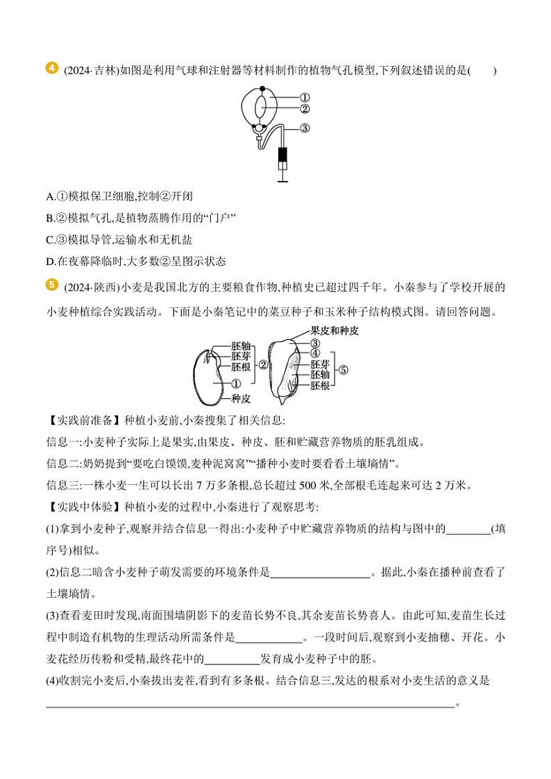 2025年中考生物学专题复习题型05　跨学科实践 （含答案）第3页