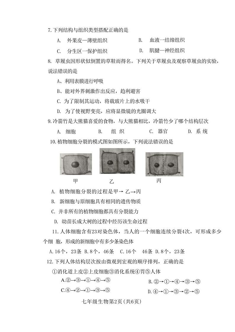 2024～2025学年河南省南阳市镇平县东莞市石碣中学七年级(上)期中生物试卷(含答案)第2页