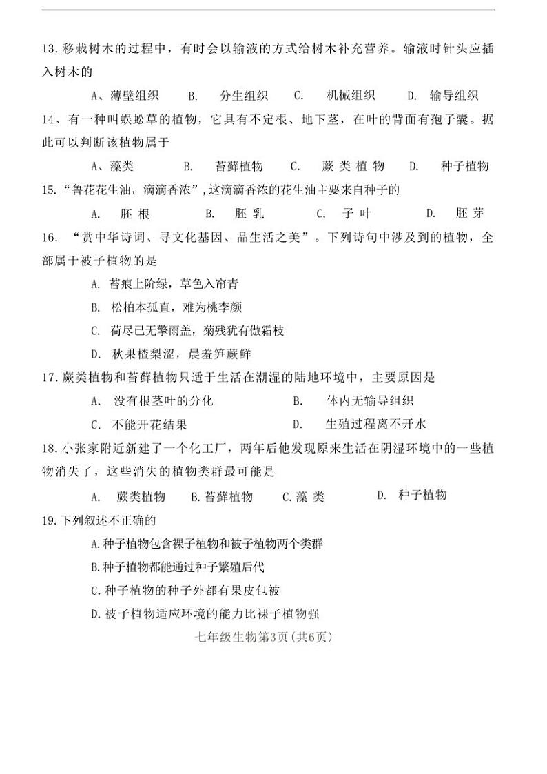 2024～2025学年河南省南阳市镇平县东莞市石碣中学七年级(上)期中生物试卷(含答案)第3页