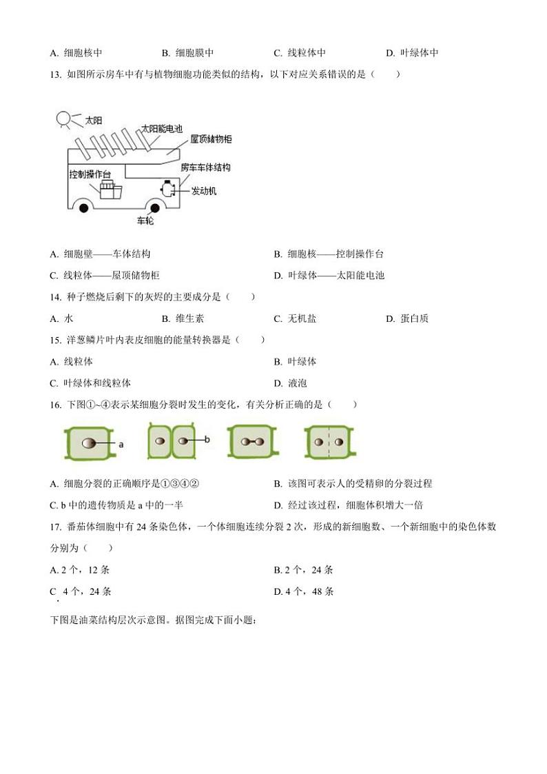 2024～2025学年福建省漳州市第三中学七年级(上)期中生物试卷(含答案)第3页