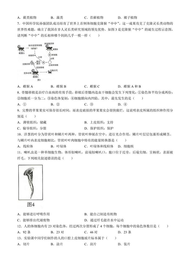 2024～2025学年河北省沧州市七星关区第三实验学校七年级(上)第三次月考生物试卷(含答案)第2页