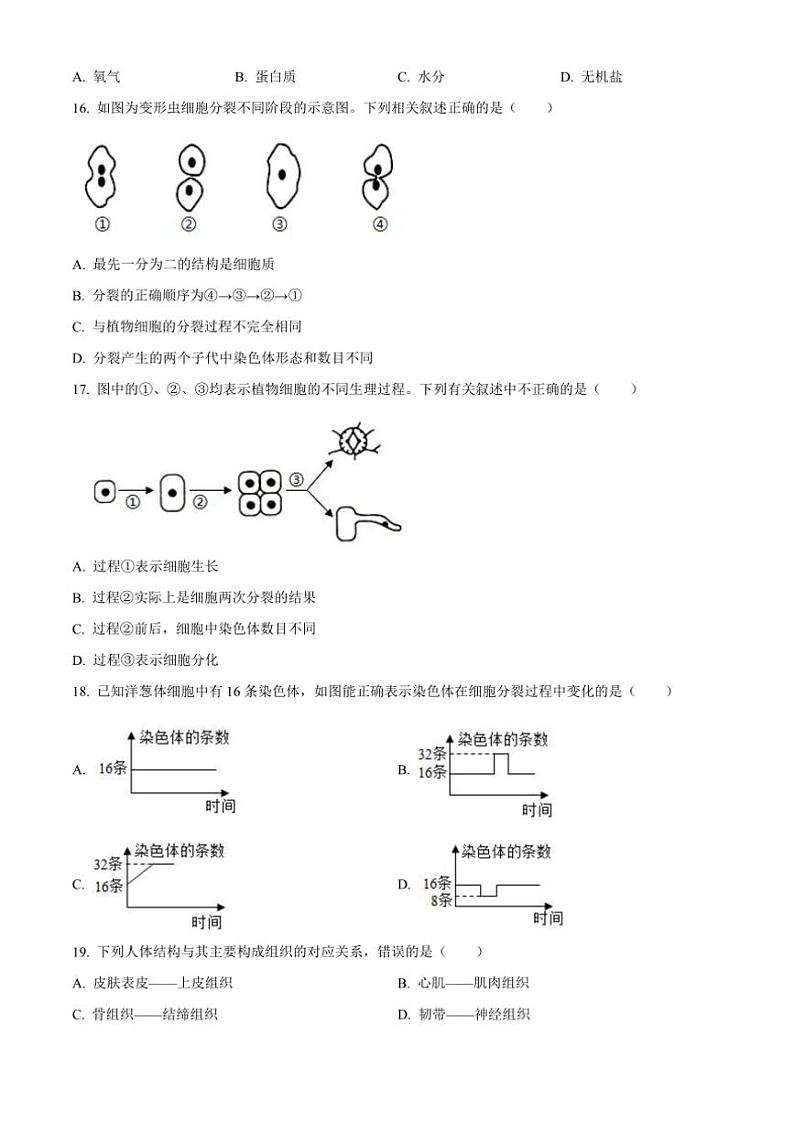 2024_2025学年江西省赣州市兴国县直属初中七年级(上)期中生物试卷(含答案)第3页