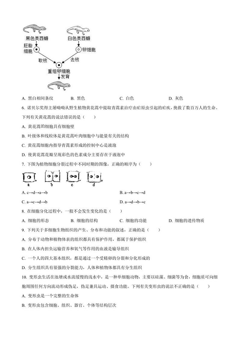 2024～2025学年辽宁省沈阳市第七中学七年级(上)期中生物试卷(含答案)第2页