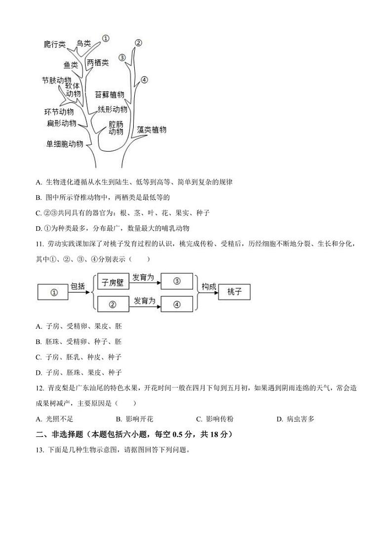 2024～2025学年辽宁省沈阳市第四十三中学八年级(上)12月月考生物试卷(含答案)第3页