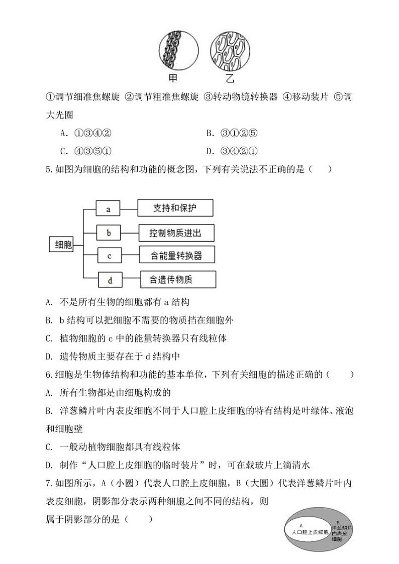 2024～2025学年山东省聊城市阳谷县实验中学七年级(上)第二次月考生物试卷(含答案)第2页