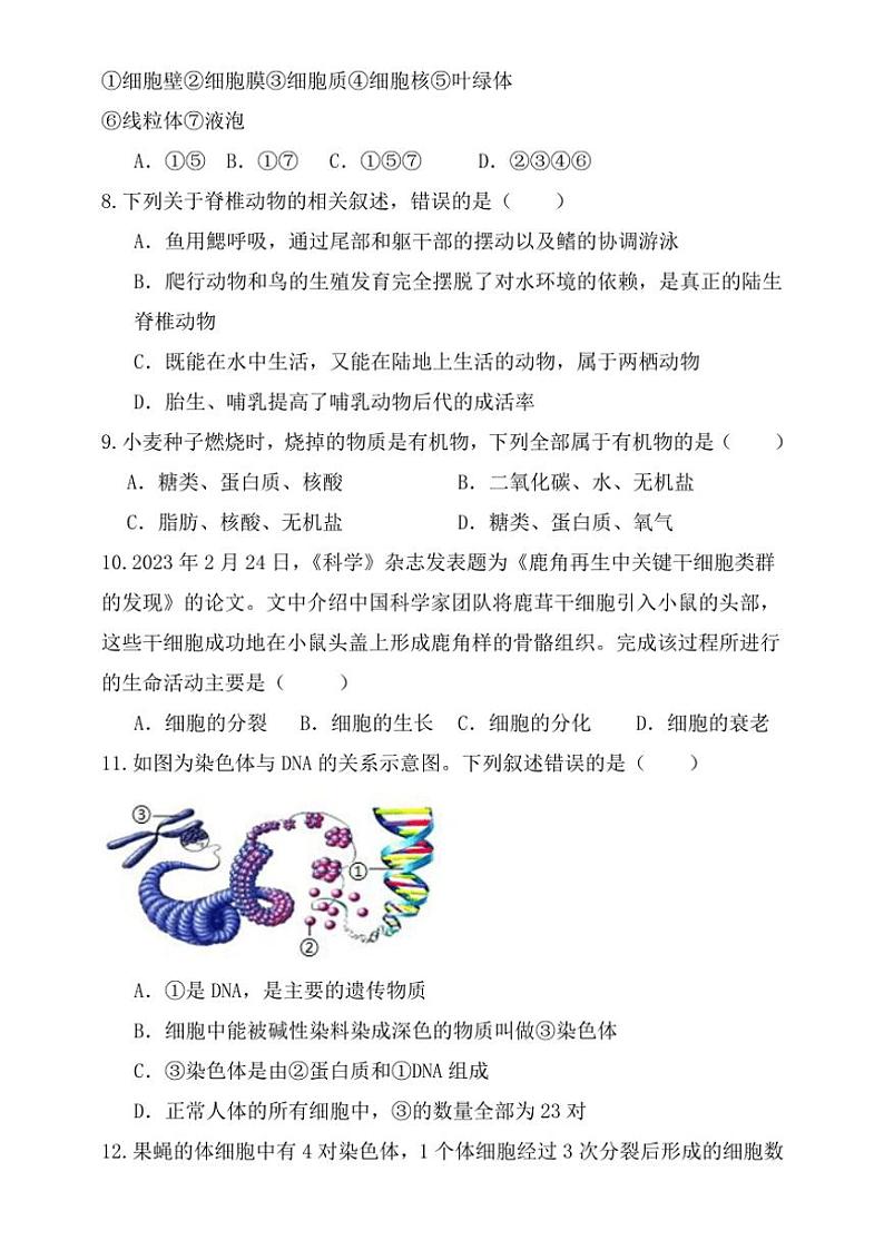2024～2025学年山东省聊城市阳谷县实验中学七年级(上)第二次月考生物试卷(含答案)第3页