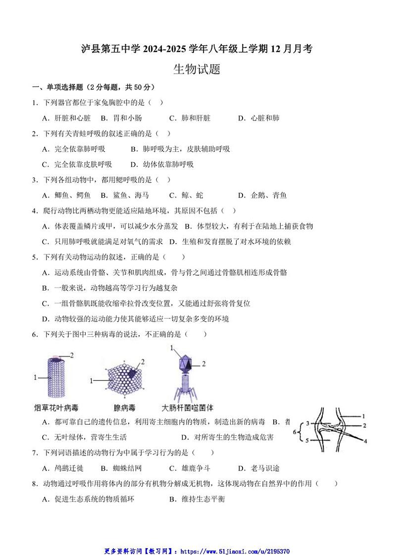 2024～2025学年四川省泸州市泸县第五中学八年级(上)12月月考生物试卷(含答案)第1页