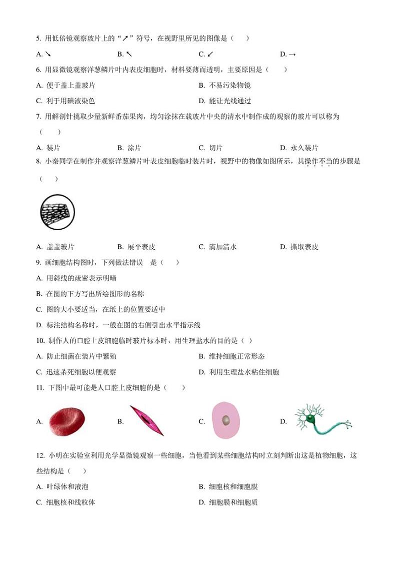2024～2025学年云南省昆明市八校联考(月考)七年级(上)期中生物试卷(含答案)第2页