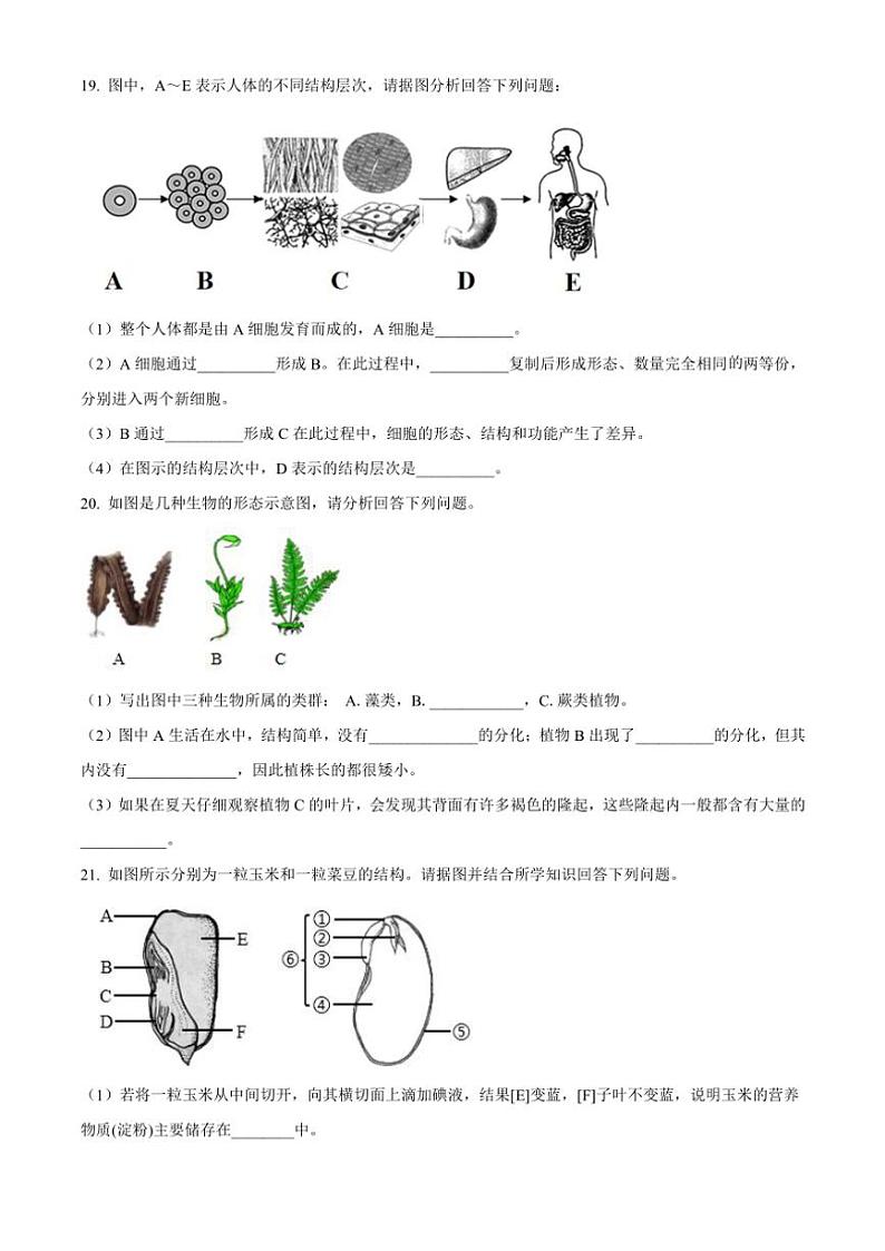 2024～2025学年甘肃省定西市渭源县七年级(上)11月月考生物试卷(含答案)第3页
