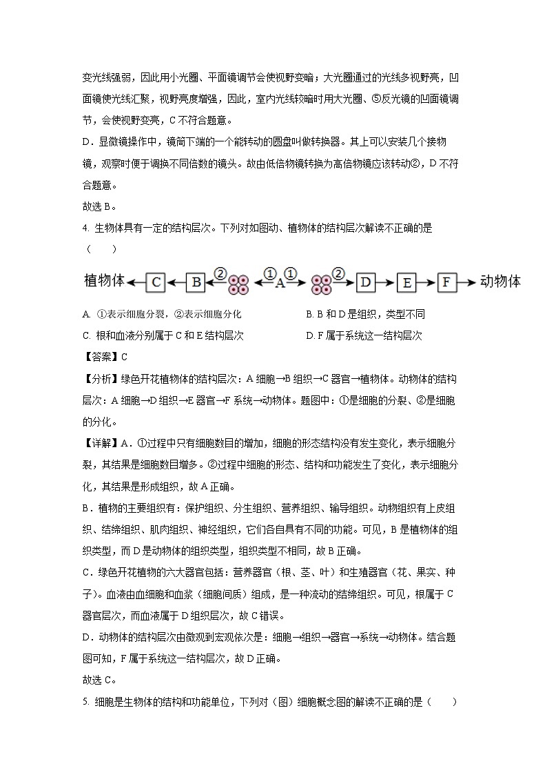 湖北省恩施州恩施市2023-2024学年七年级(上)期末生物试卷（解析版）第3页