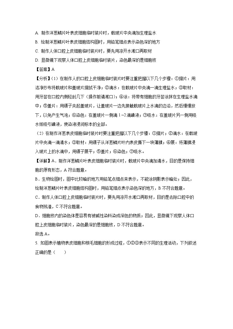 山东省潍坊市诸城市2023-2024学年七年级(上)期末生物试卷（解析版）第3页