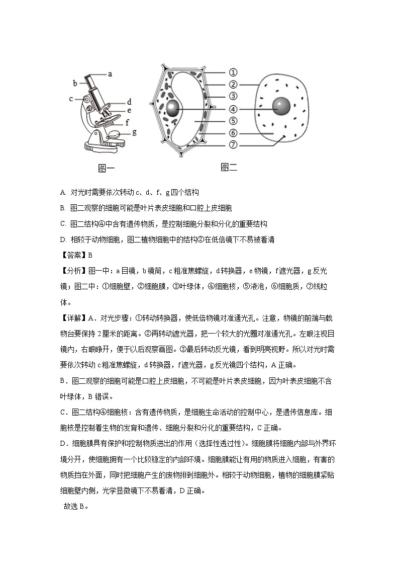 山东省潍坊市昌乐县等八区县2023-2024学年七年级(上)期末生物试卷（解析版）第3页