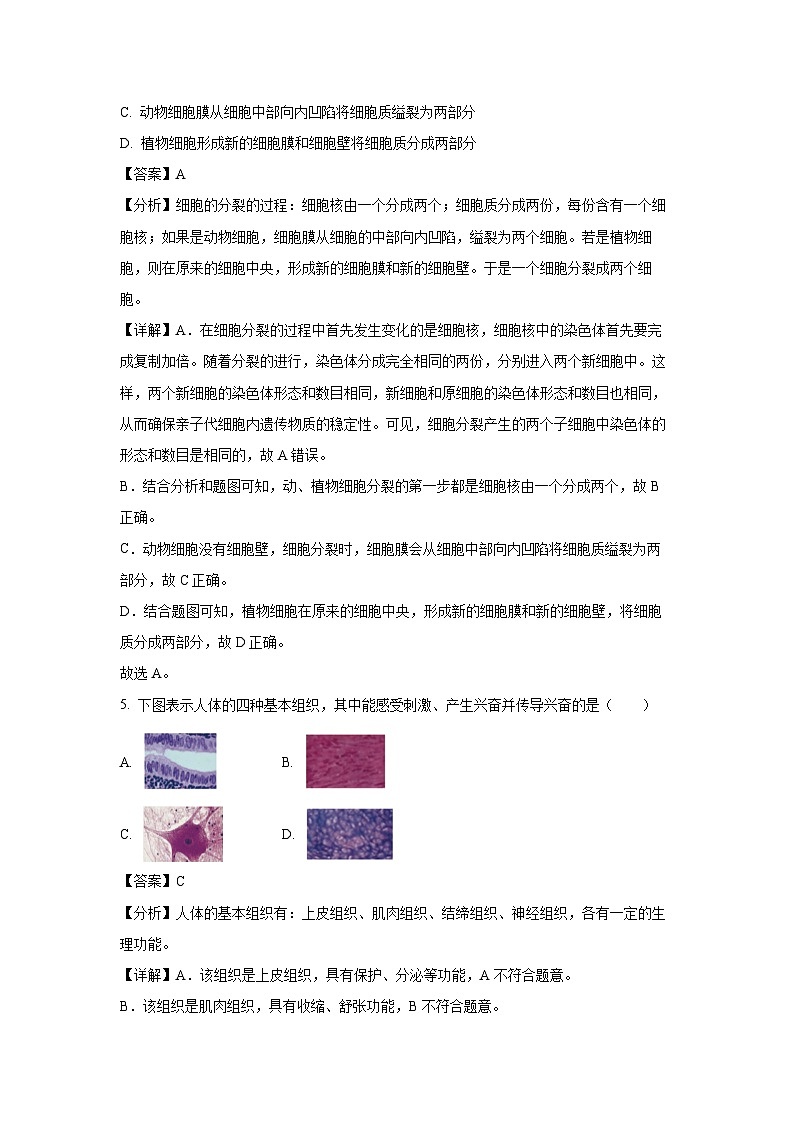 山东省济宁市泗水县2023-2024学年七年级(上)期末生物试卷（解析版）第3页