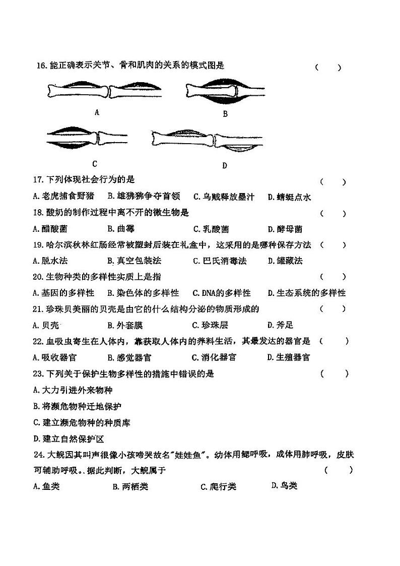 哈尔滨市虹桥中学2024-2025学年八年级上学期12月月考生物试卷和答案第3页