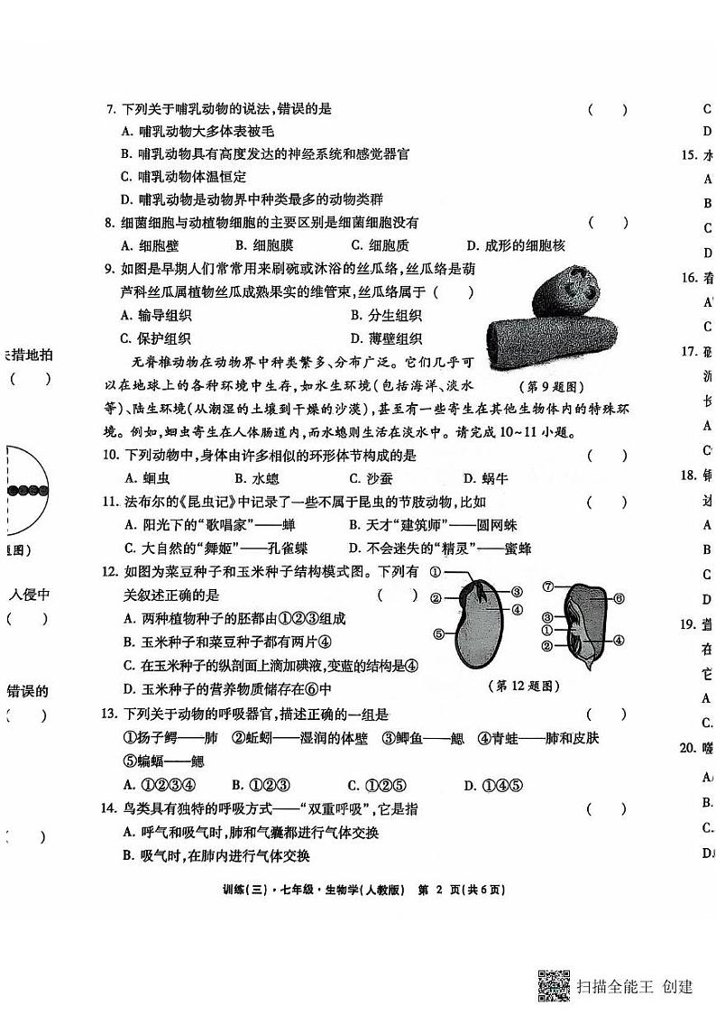 江西省上饶市鄱阳县 洪迈学校2024-2025学年七年级上学期生物第三次月考生物试卷第2页