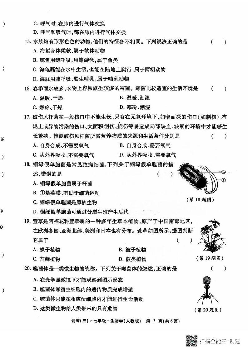 江西省上饶市鄱阳县 洪迈学校2024-2025学年七年级上学期生物第三次月考生物试卷第3页
