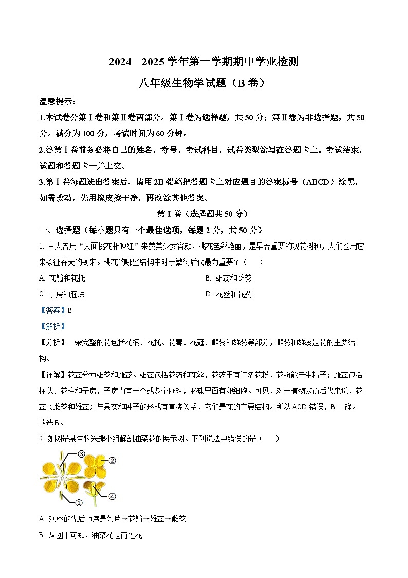 精品解析：山东省滨州市无棣县2024-2025学年八年级上学期期中生物学试题（B）（解析版）-A4第1页