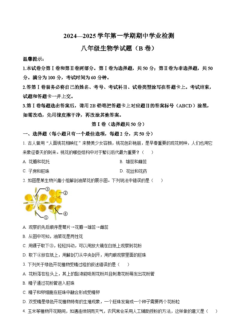 精品解析：山东省滨州市无棣县2024-2025学年八年级上学期期中生物学试题（B）（原卷版）-A4第1页