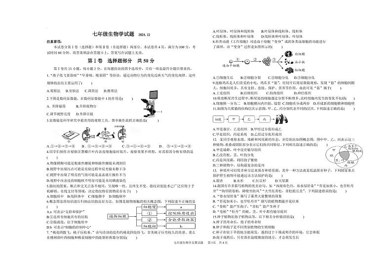 山东万隆中学2024-2025学年第一学期七年级上册生物月考试题（含答案）第1页