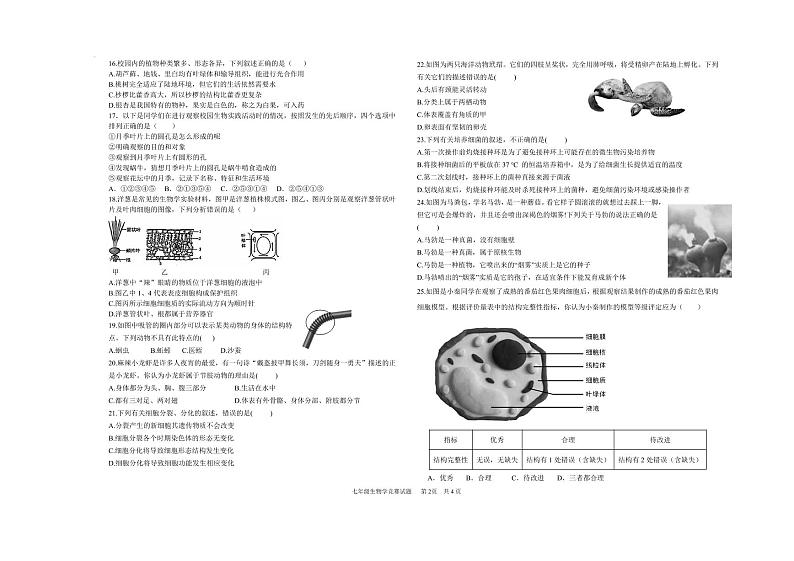 山东万隆中学2024-2025学年第一学期七年级上册生物月考试题（含答案）第2页