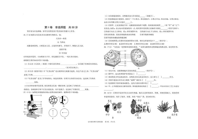 山东万隆中学2024-2025学年第一学期七年级上册生物月考试题（含答案）第3页
