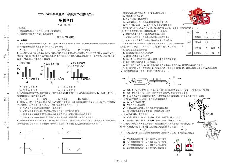 山东省东营市广饶县乐安中学2024-2025学年七年级上学期12月月考生物试题第1页
